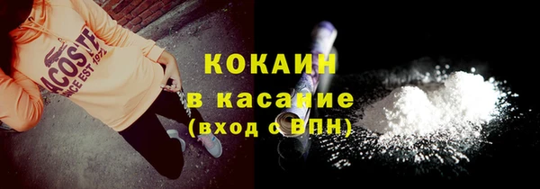 шишки Аркадак