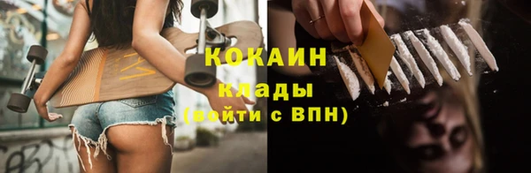 прущие грибы Покачи