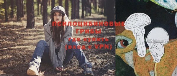 кокс Арсеньев
