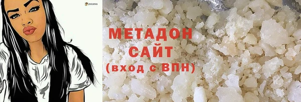 шишки Аркадак