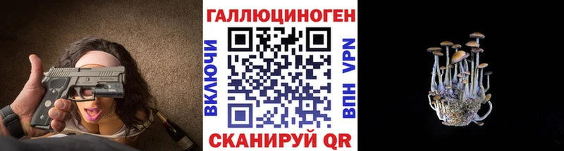 Псилоцибиновые грибы GOLDEN TEACHER  Чапаевск 