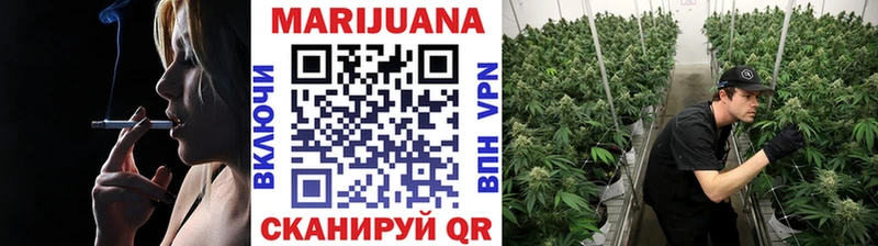 Конопля планчик  купить закладку  Чапаевск 